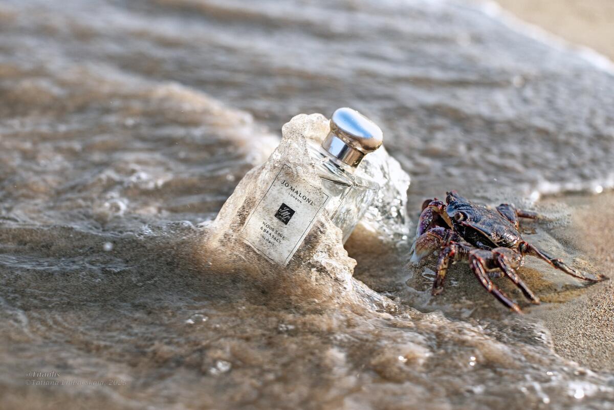 Colonia Jo Malone Wood Sage &  - Luxury Lifestyle Travel reseña y precio